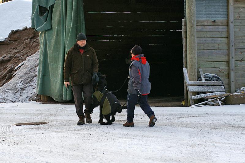 Soveltuvuustesti (30).jpg